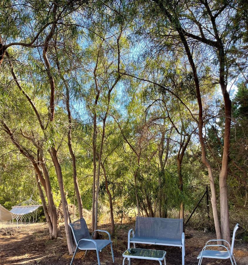 הוילה קאקובטוס Seaside Retreat House מראה חיצוני תמונה
