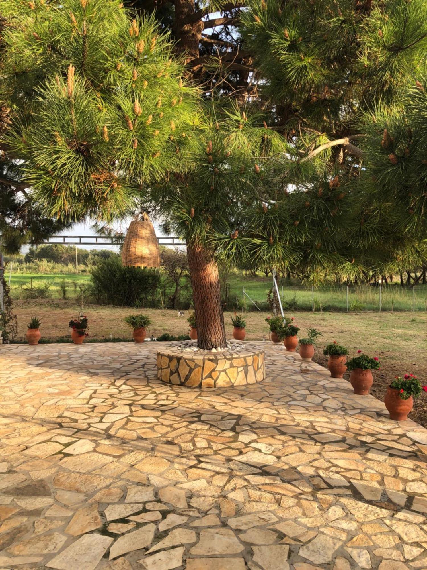 הוילה קאקובטוס Seaside Retreat House מראה חיצוני תמונה