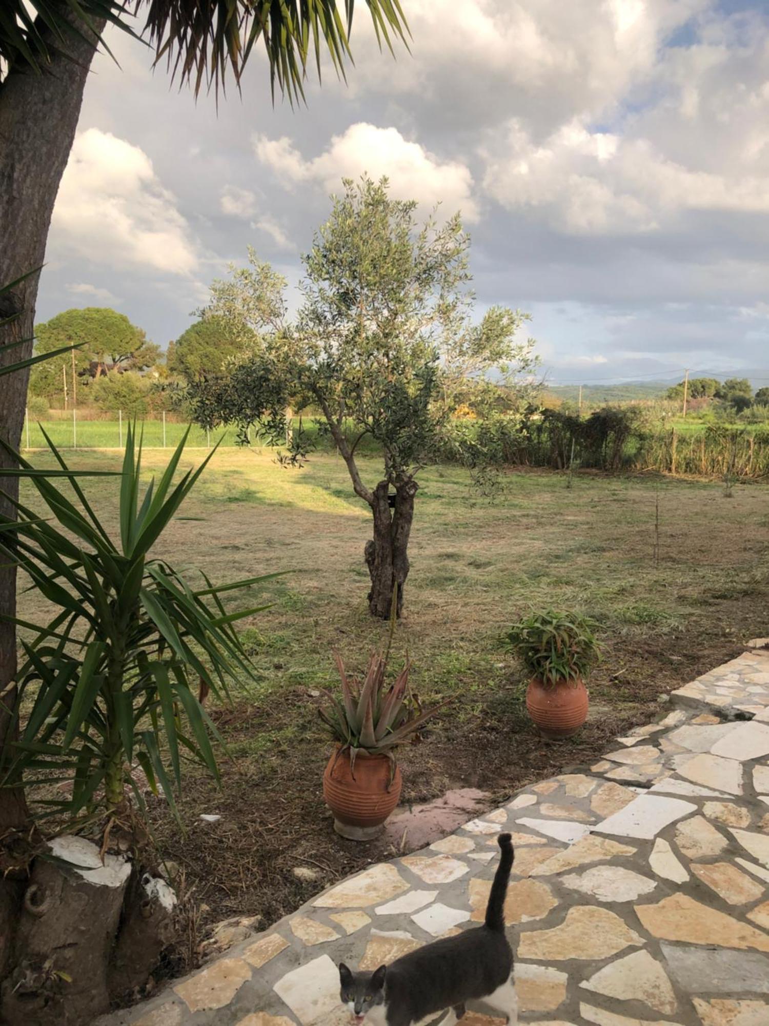 הוילה קאקובטוס Seaside Retreat House מראה חיצוני תמונה
